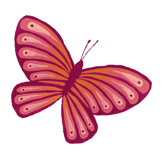 Shop Butterfly Image