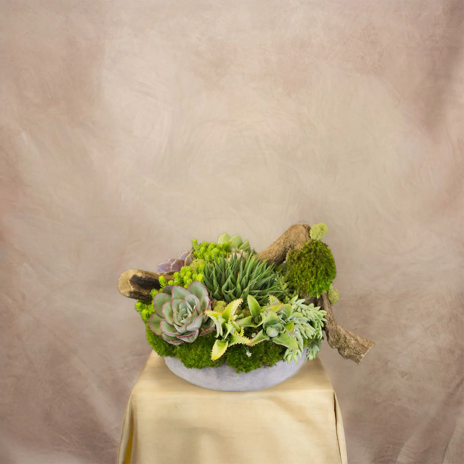 Succulent Garden