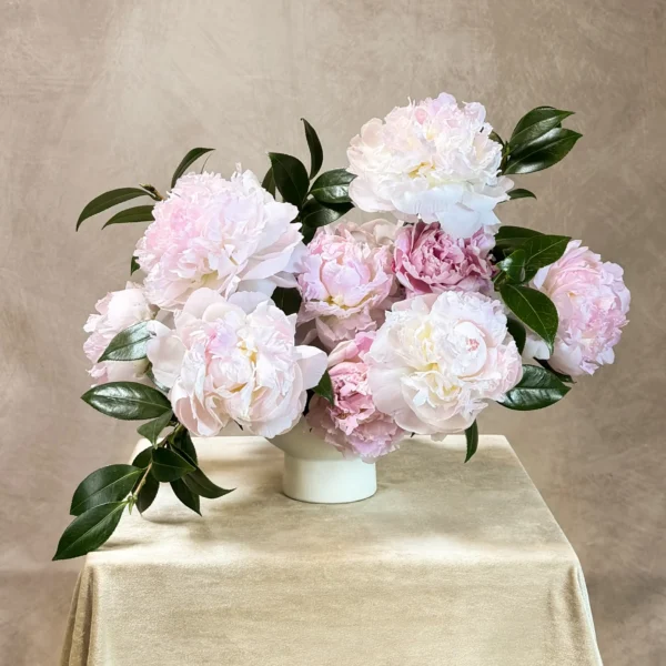 La Petite Pivoine