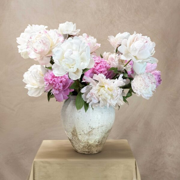 La Pivoine
