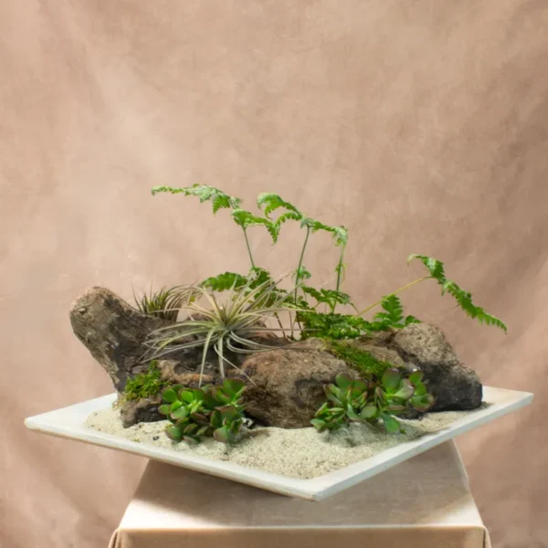 Woodstone Fern Garden