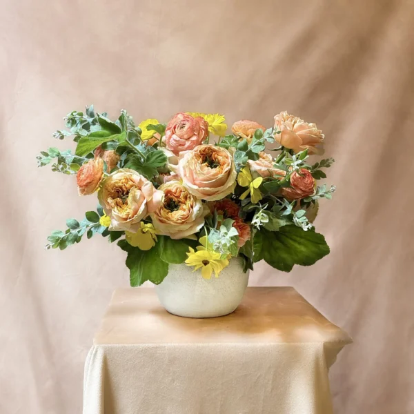 Apricot Blush